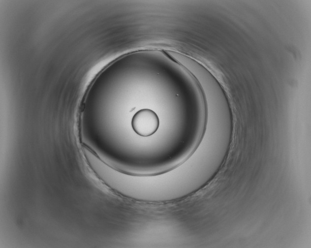 X0000113050960200909101936