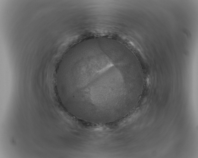 X0000113050961200909101936