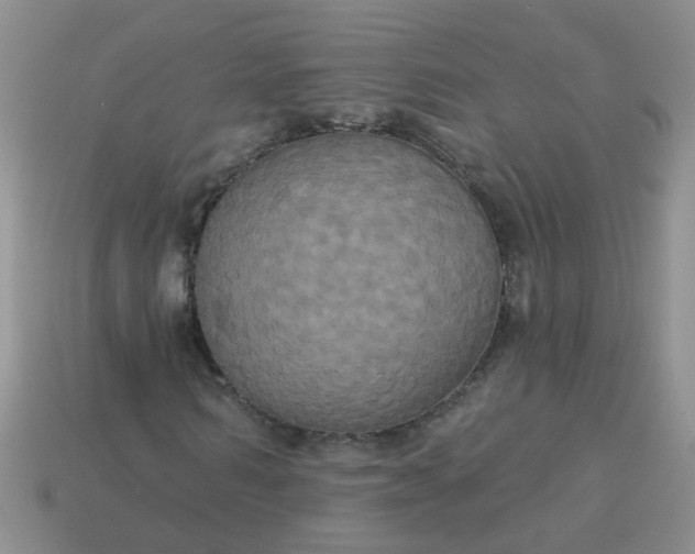 X0000113050962200909101936