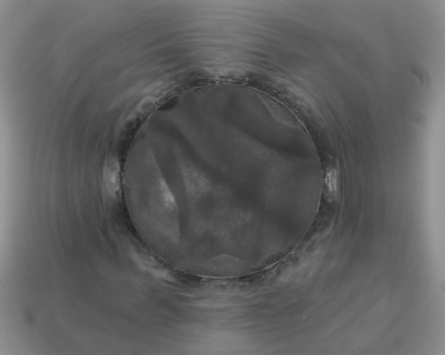 X0000113050963200909101936