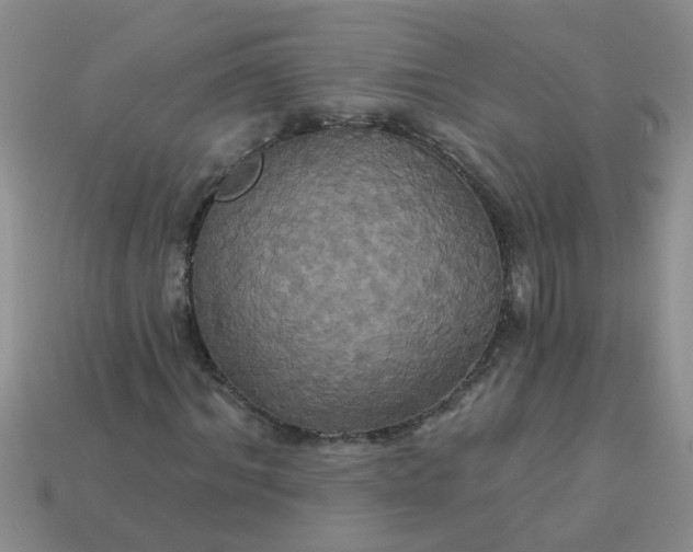 X0000113050964200909101936