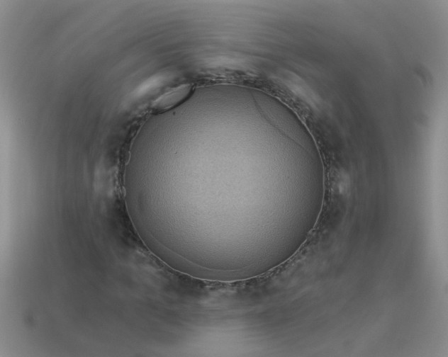 X0000113050965200909101936