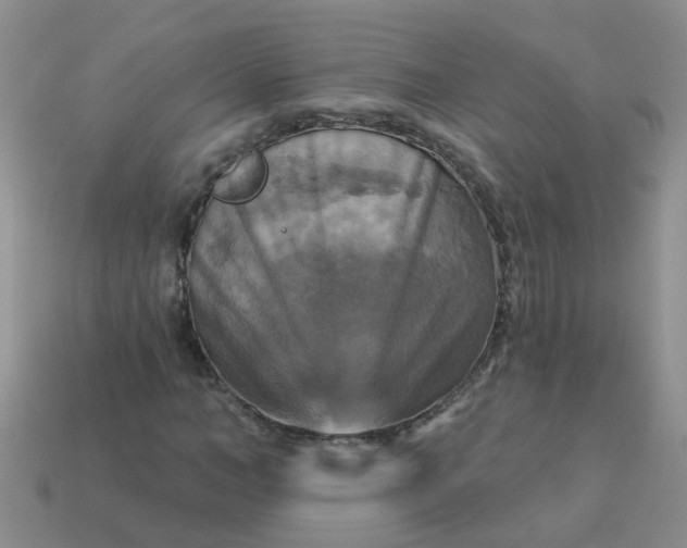 X0000113050966200909101936