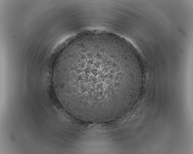 X0000113050967200909101936