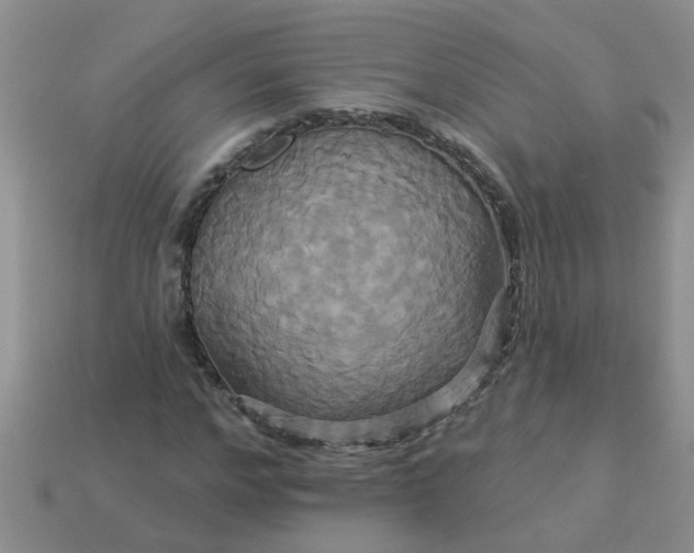 X0000113050968200909101936