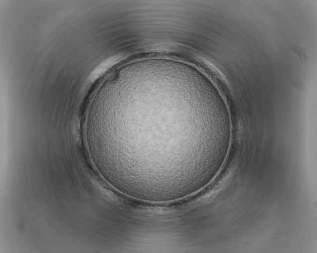 X0000113050970200909101936