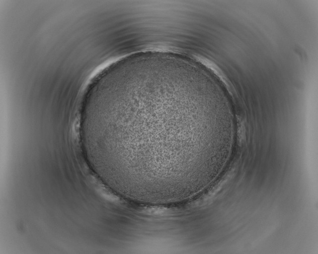 X0000113050971200909101936