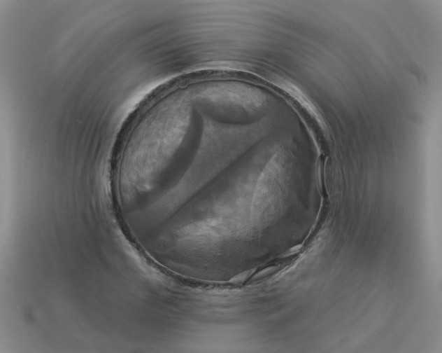 X0000113050972200909101936