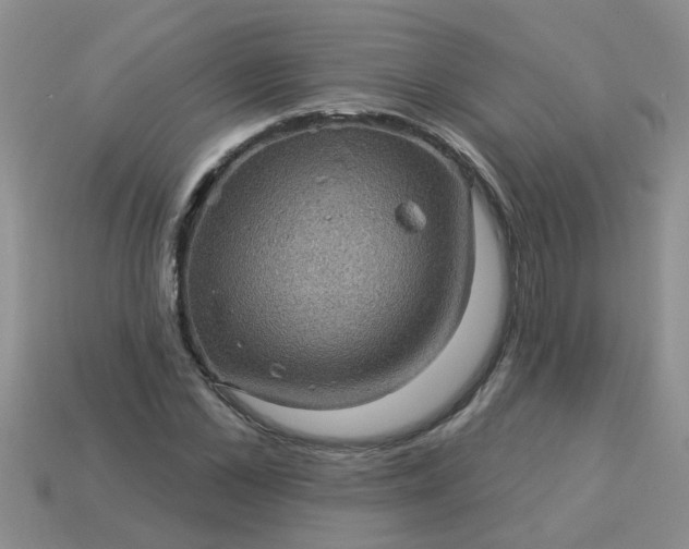 X0000113050973200909101935