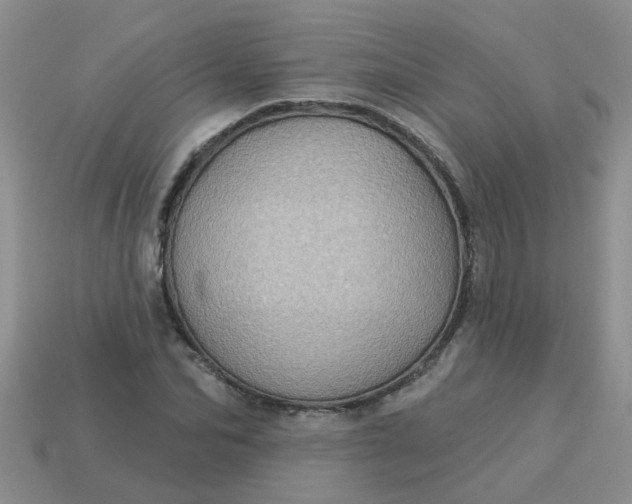 X0000113050974200909101935