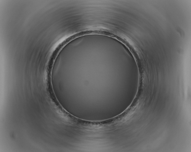 X0000113050975200909101935