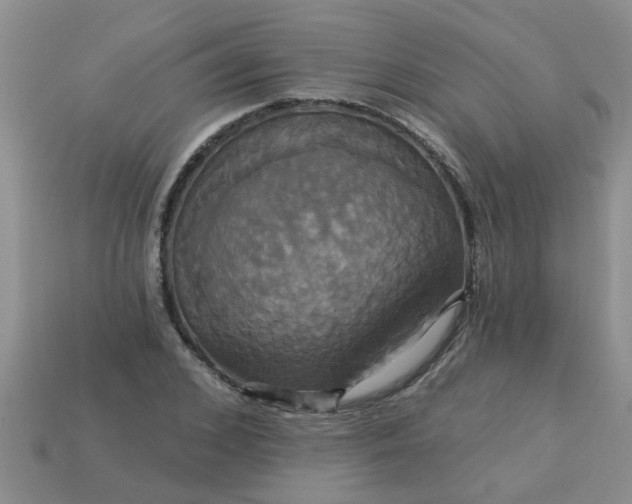 X0000113050976200909101935