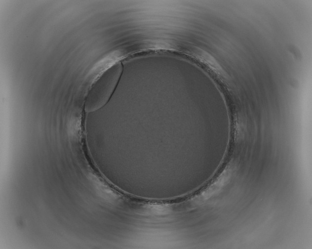 X0000113050977200909101935