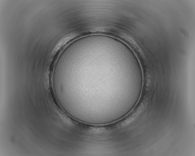 X0000113050978200909101935