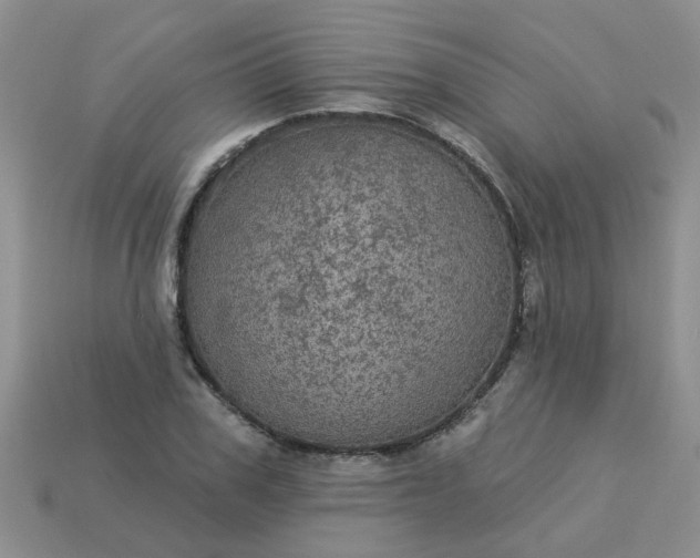 X0000113050979200909101935