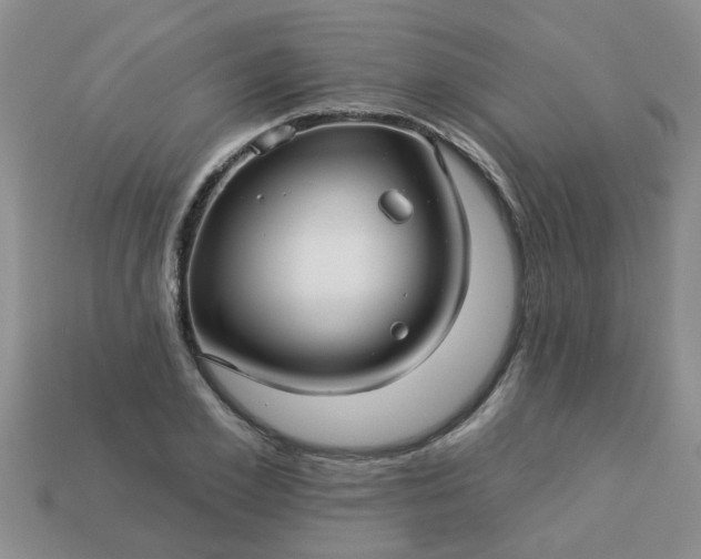 X0000113050981200909101935