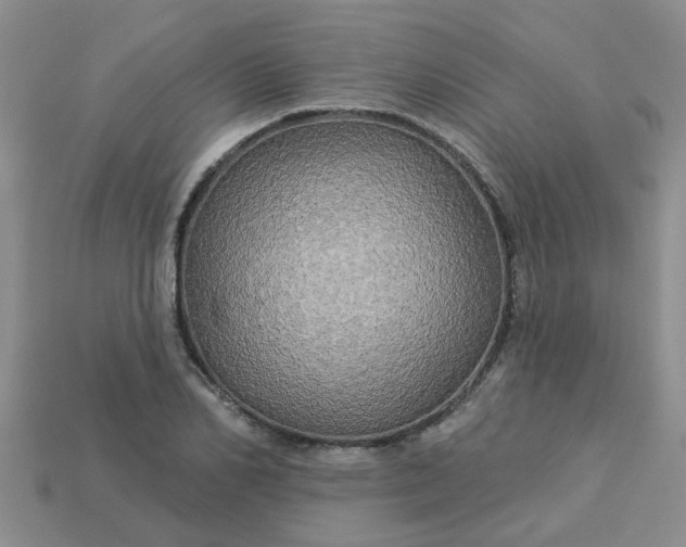 X0000113050982200909101935