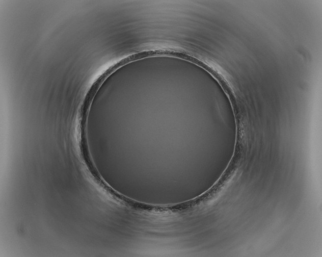 X0000113050983200909101935