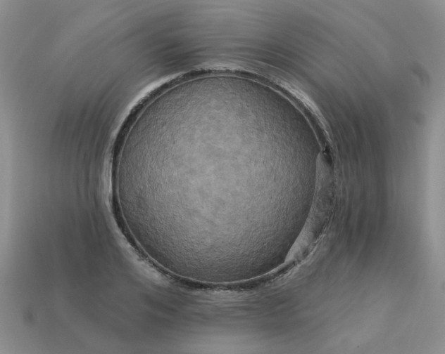 X0000113050984200909101935