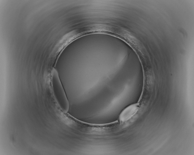 X0000113050985200909101935