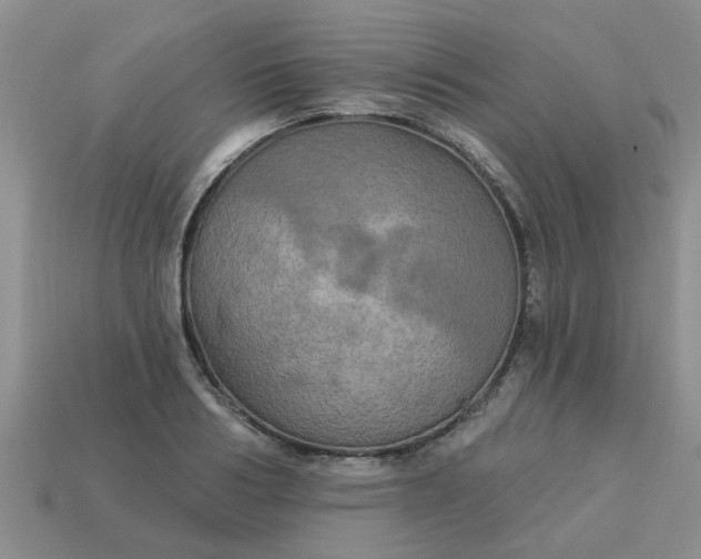 X0000113050986200909101935