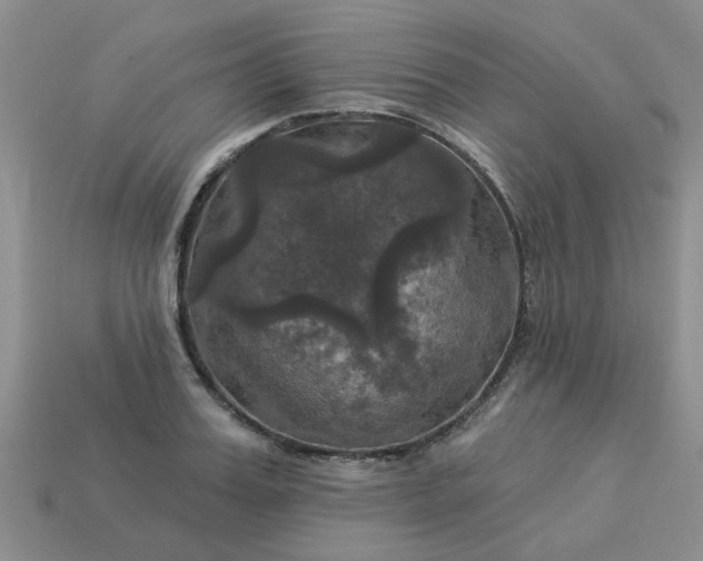 X0000113050987200909101935