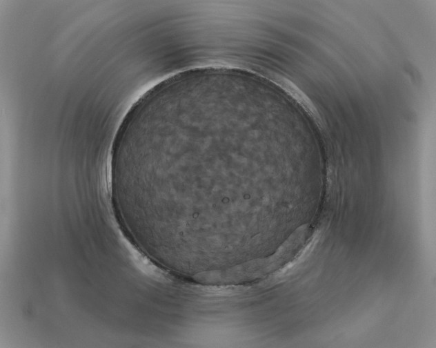 X0000113050988200909101935