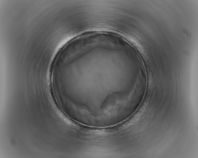 X0000113050990200909101935