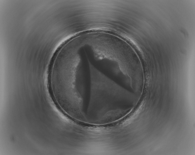 X0000113050991200909101935