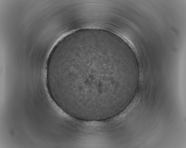 X0000113050992200909101935