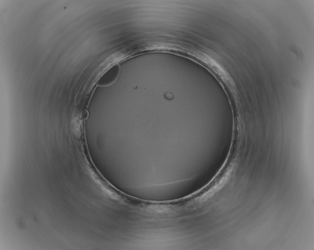 X0000113050993200909101935