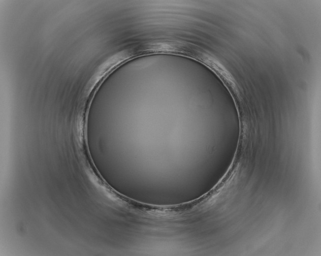 X0000113050994200909101935