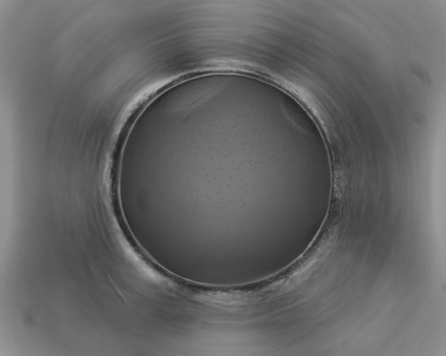 X0000113050995200909101935