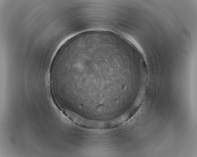 X0000113050996200909101935