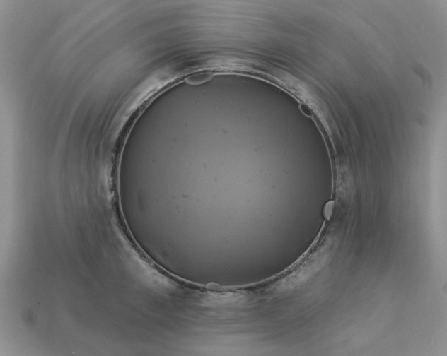 X0000113050997200909101935