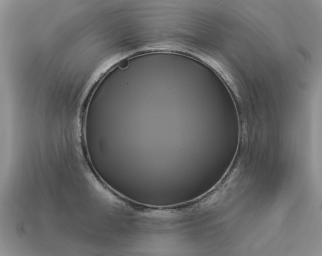 X0000113050998200909101935