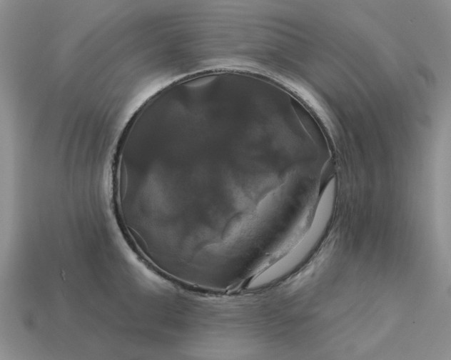 X0000113050999200909101935