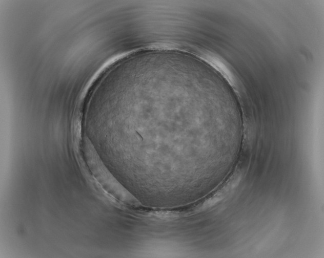 X0000113051000200909101935