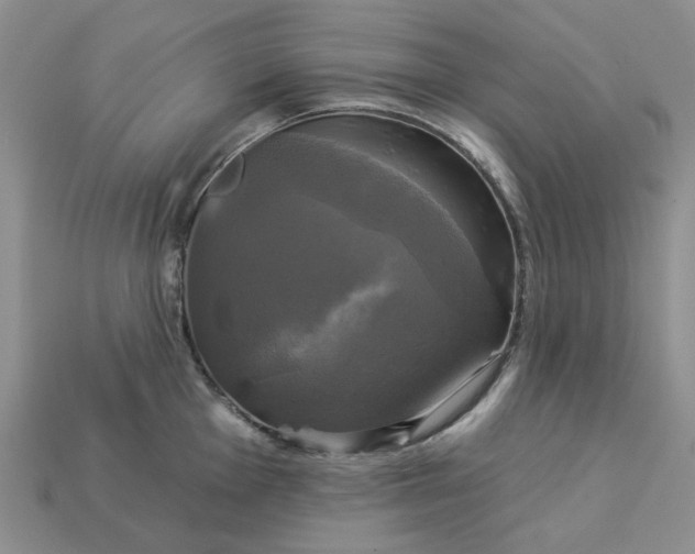 X0000113051001200909101935