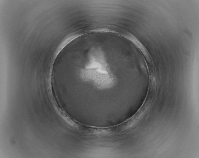 X0000113051002200909101935