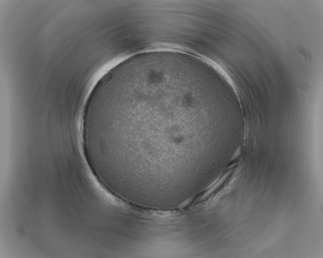 X0000113051003200909101935