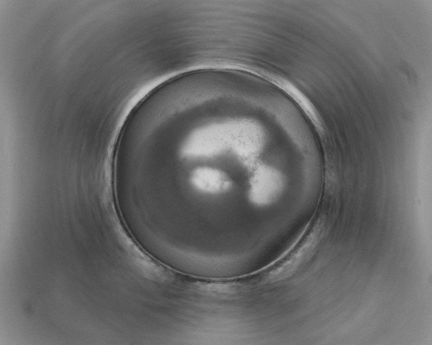 X0000113051004200909101935