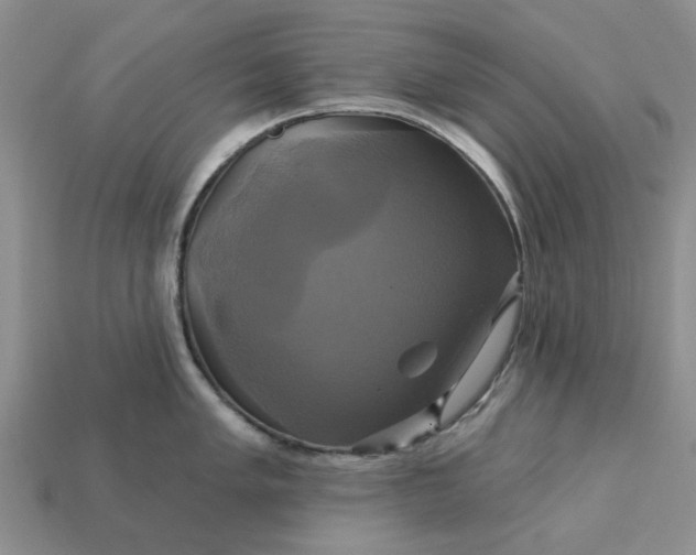 X0000113051005200909101935