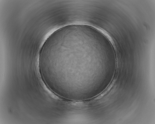 X0000113051006200909101935