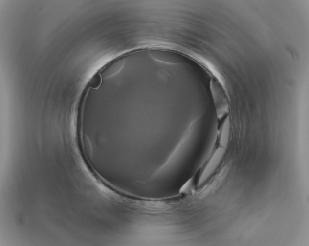 X0000113051007200909101935