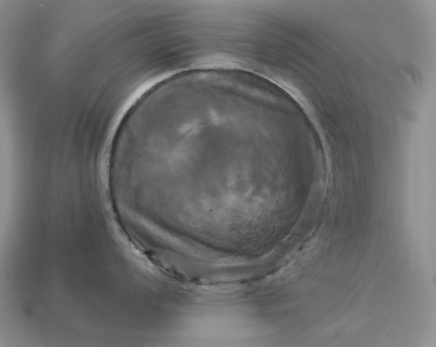 X0000113051008200909101935