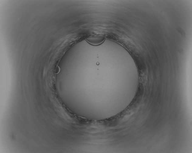 X0000113051009200909101934