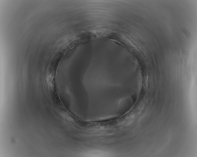 X0000113051010200909101934