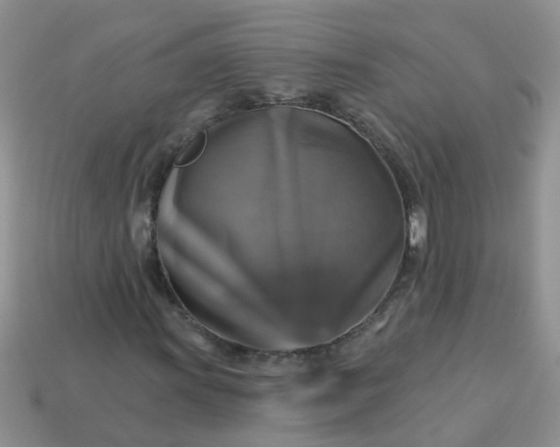 X0000113051011200909101934