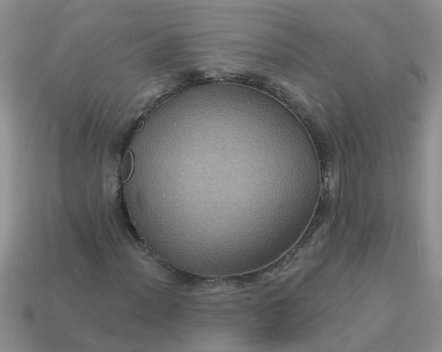 X0000113051012200909101934